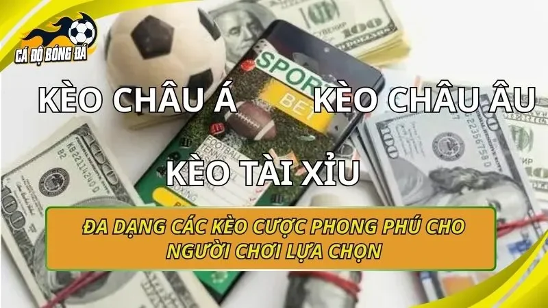 Các loại kèo cược tại trang cá độ bóng đá uy tín - kèo châu Á, châu Âu, tài xỉu